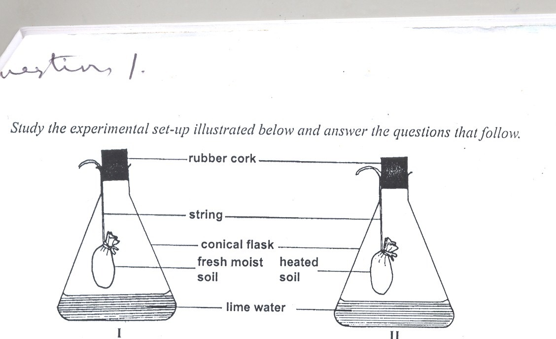 agricultural science essay 2023