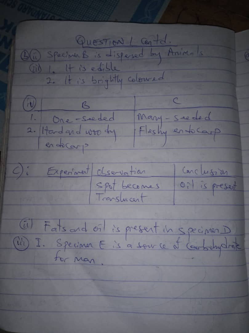 Neco 2023 Biology Practical Answers 